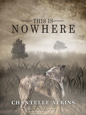 cover image of This Is Nowhere